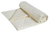 Одеяло Райтон Cotton легкое